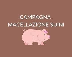 Macellazione a domicilio di suini, ovini e caprini anno 2024/2025 - Disposizioni Normative